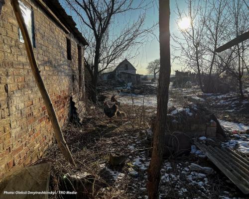 Життя продовжується. с. Мирне, Запорізький напрямок. Лютий, 2023